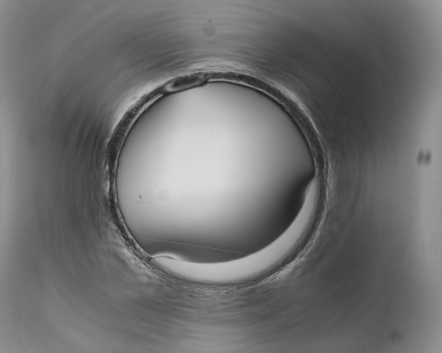 X0000110770973200907061115