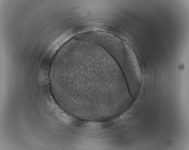 X0000110770977200907061115