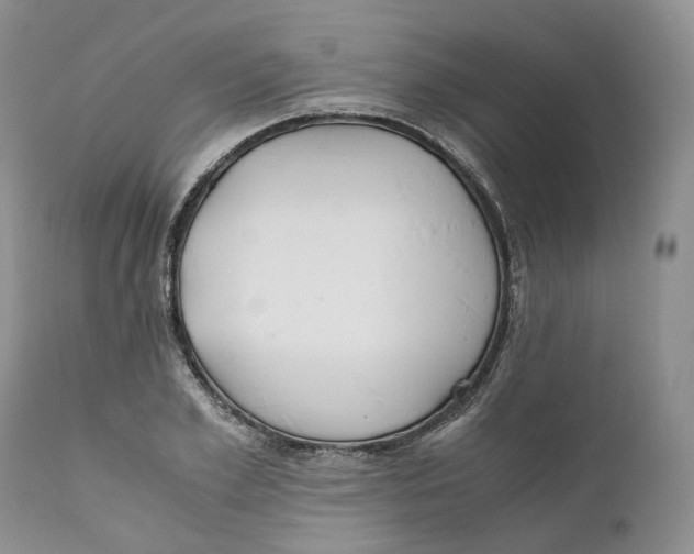 X0000110770981200907061115