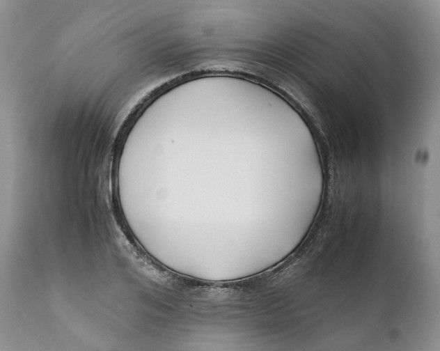 X0000110770984200907061115