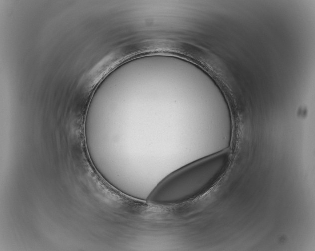 X0000110770985200907061115