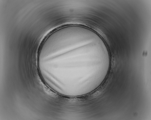 X0000110770988200907061115