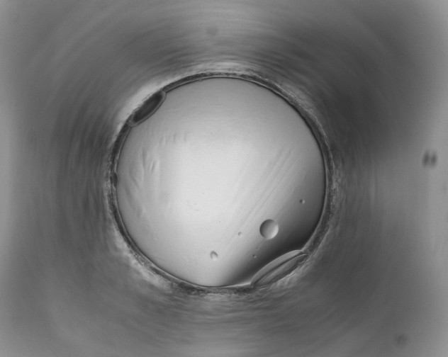 X0000110770989200907061115