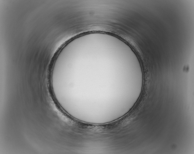 X0000110770991200907061115