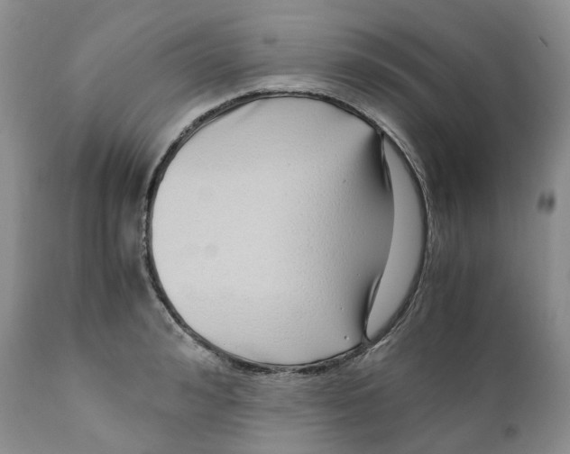 X0000110770992200907061114