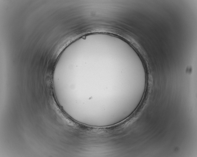 X0000110770993200907061114