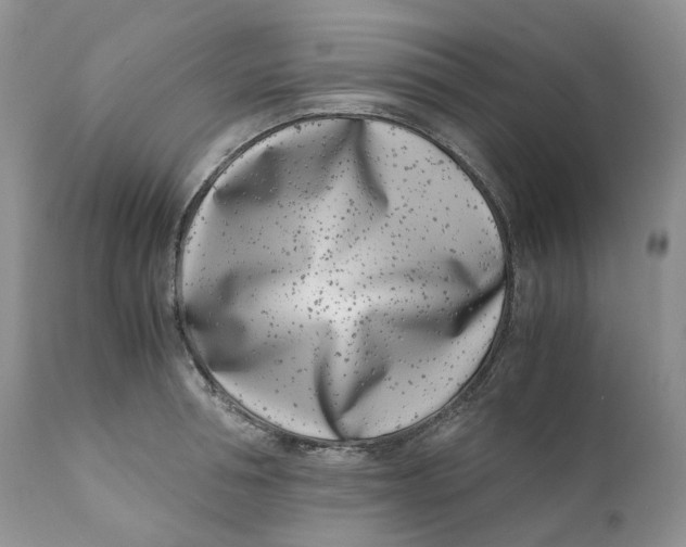 X0000110770994200907061114