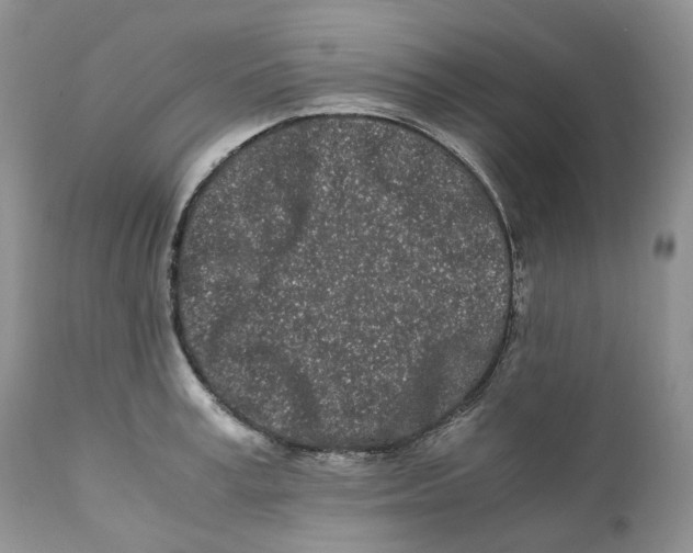 X0000110770995200907061114