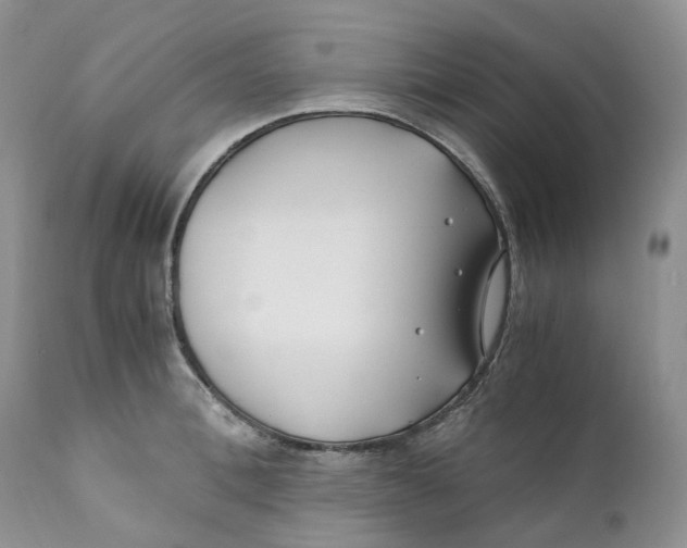 X0000110770996200907061114