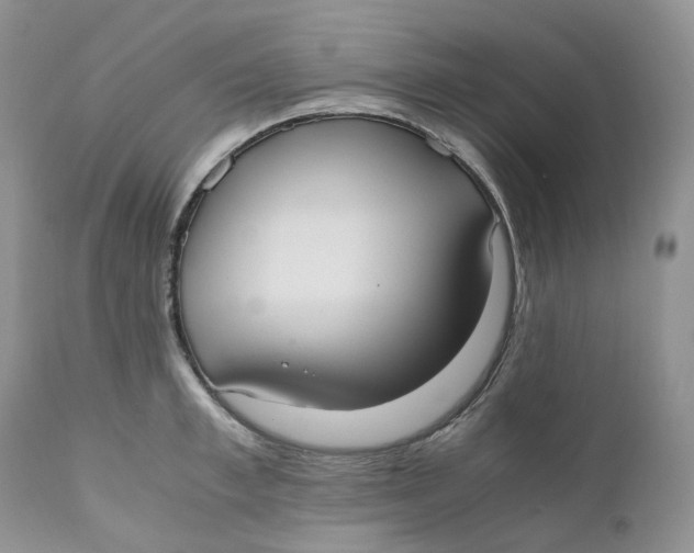 X0000110770997200907061114