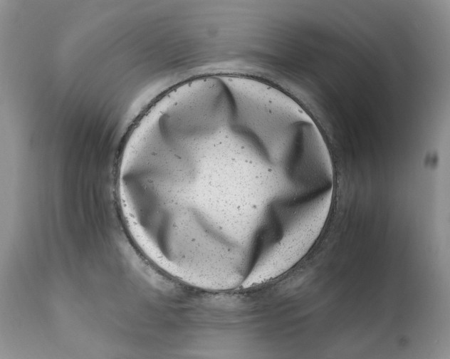 X0000110770998200907061114