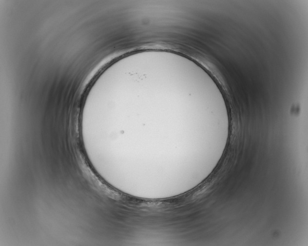 X0000110771000200907061114