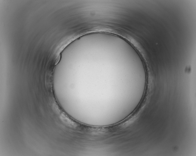 X0000110771001200907061114