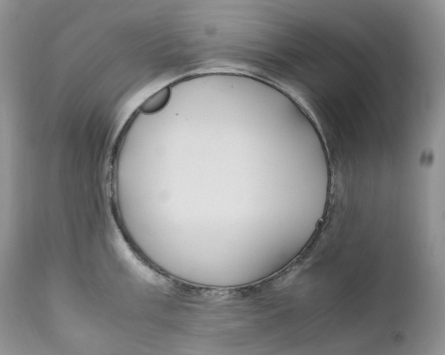 X0000110771003200907061114