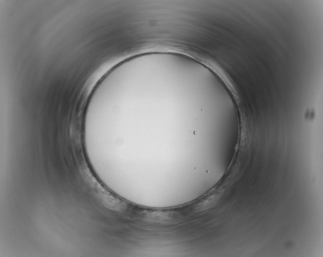 X0000110771004200907061114