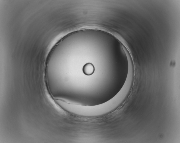 X0000110771005200907061114