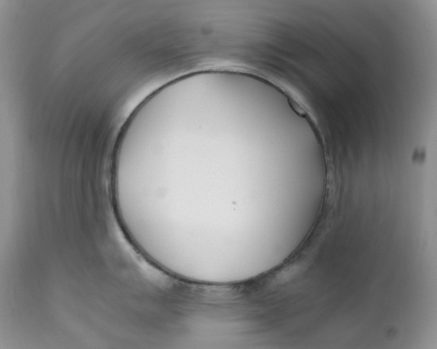 X0000110771007200907061114