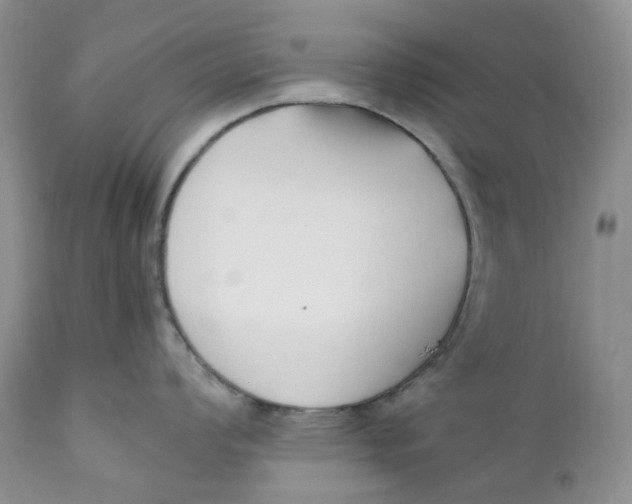 X0000110771008200907061114