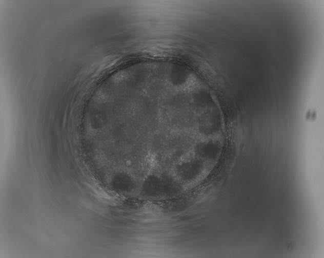 X0000110771009200907061114