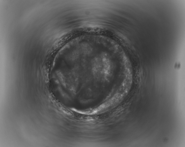 X0000110771013200907061114