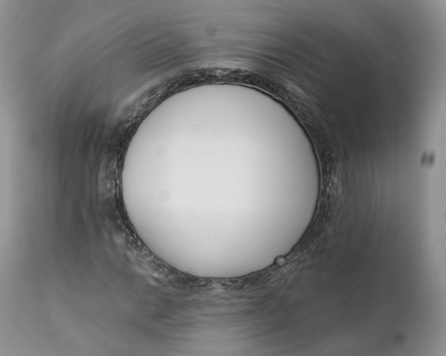 X0000110771014200907061114