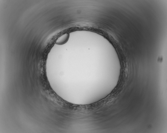 X0000110771016200907061114