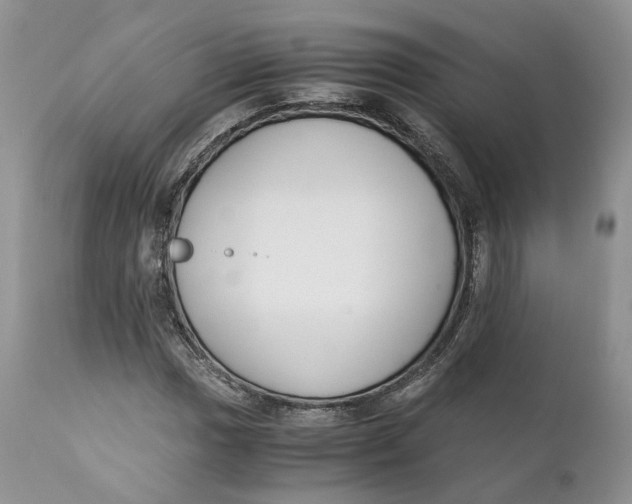 X0000110771017200907061114