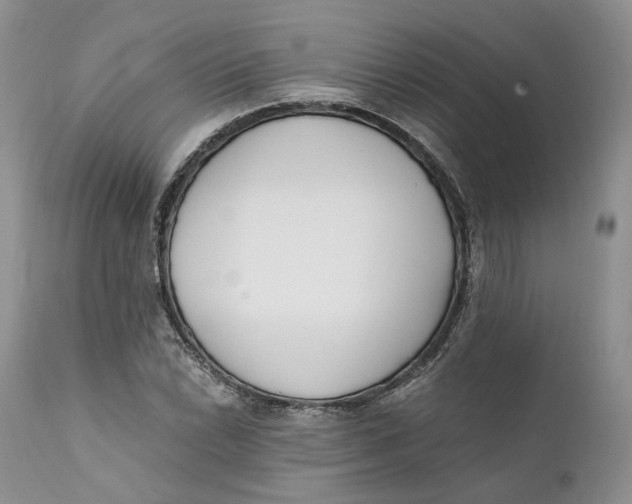 X0000110771022200907061114