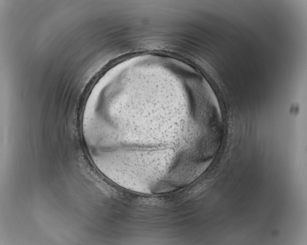 X0000110771023200907061114