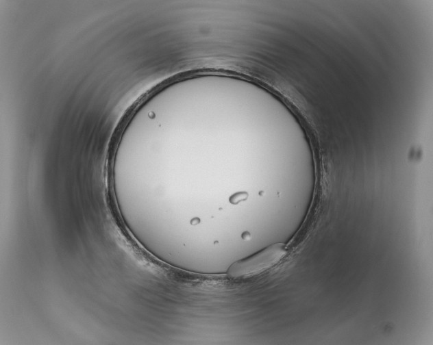 X0000110771028200907061114