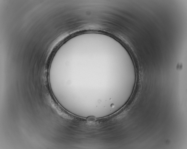 X0000110771029200907061114