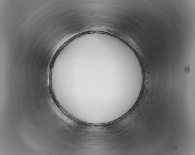 X0000110771036200907061114