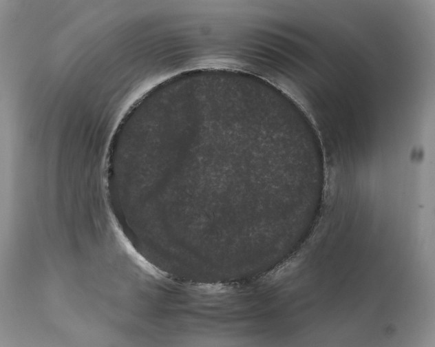 X0000110771037200907061114