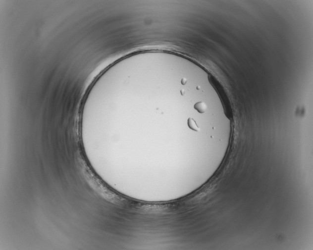 X0000110771044200907061114