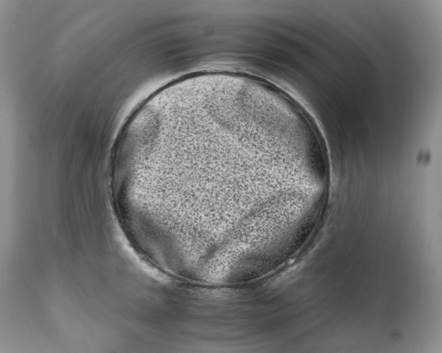 X0000110771045200907061114