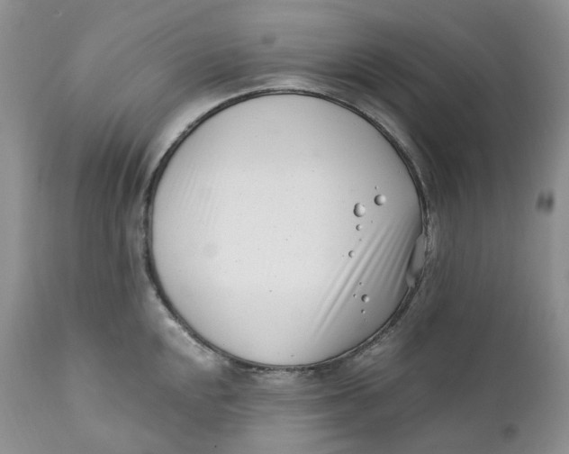 X0000110771048200907061114