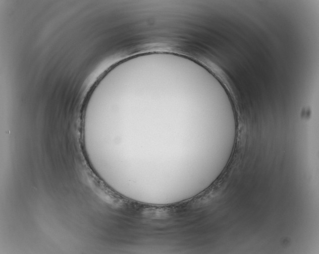 X0000110771051200907061114