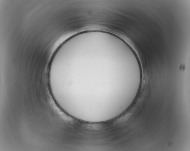 X0000110771053200907061114