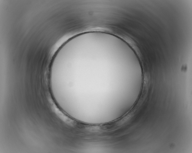 X0000110771054200907061114