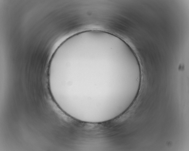 X0000110771056200907061114