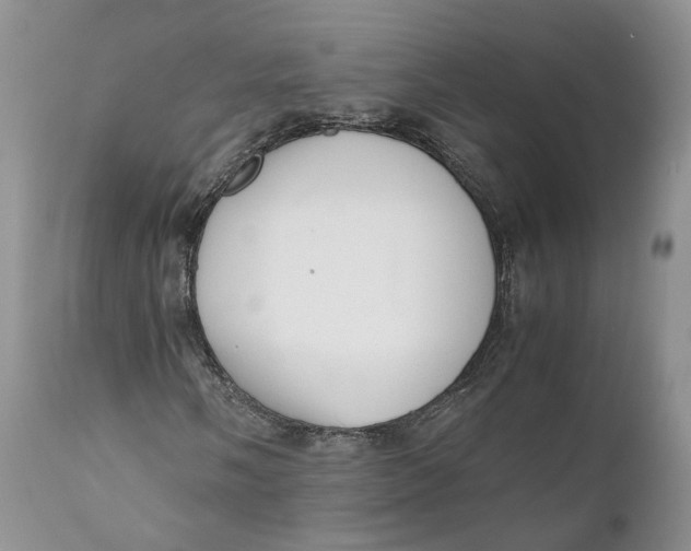 X0000110771058200907061114