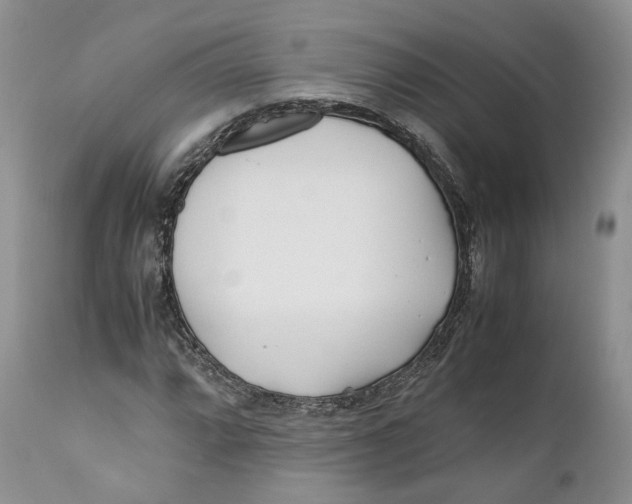 X0000110771064200907061114