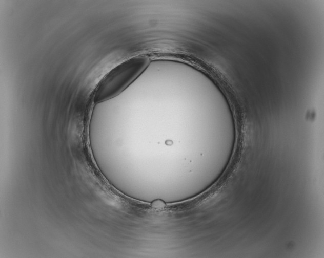 X0000110771065200907061113