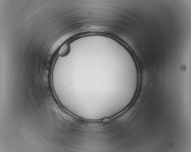 X0000110771066200907061113