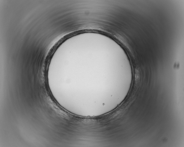 X0000110771068200907061113