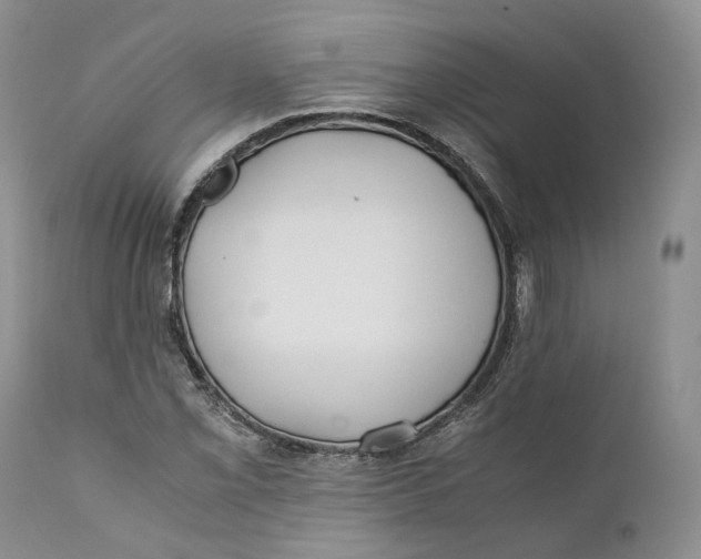 X0000110771069200907061113