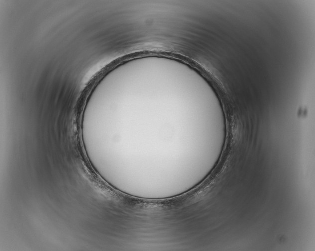 X0000110771070200907061113