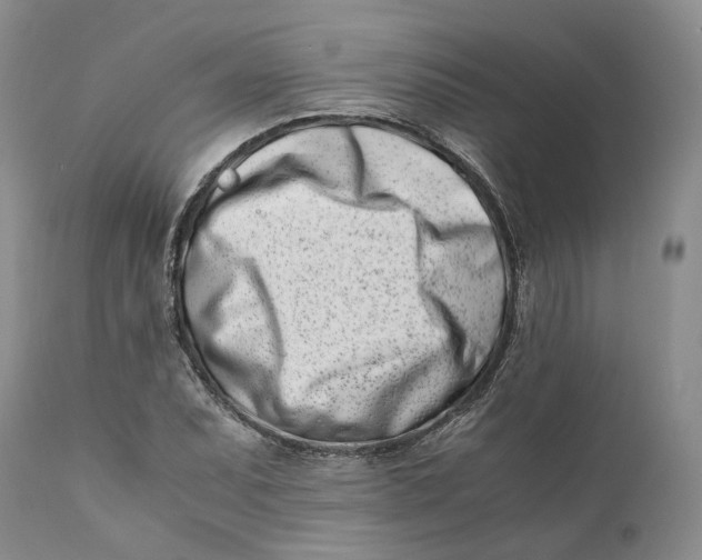 X0000110771071200907061113