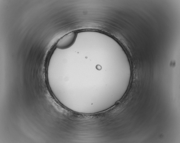 X0000110771072200907061113