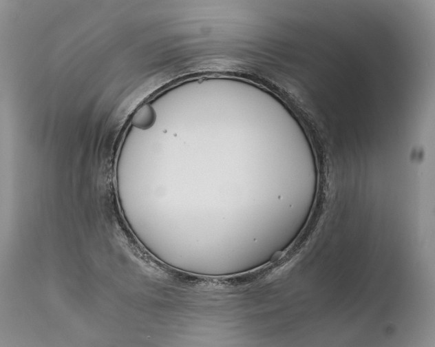 X0000110771073200907061113